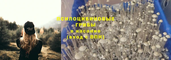 дживик Аркадак