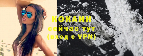дживик Аркадак